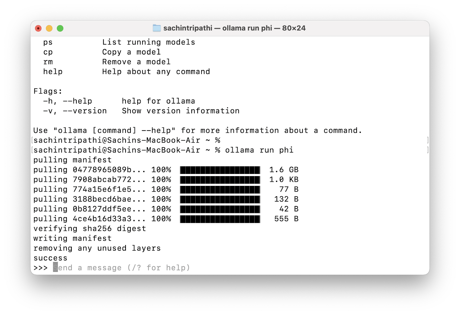 Hands-On Guide to Running LLMs Locally using Ollama