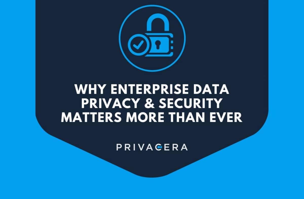 Data Security, Governance, and Privacy Infographics - Privacera